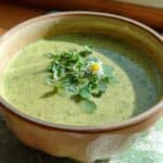 cremige kraeutersuppe